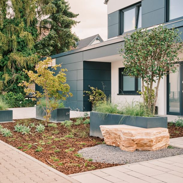 Begrünung vor einem Haus