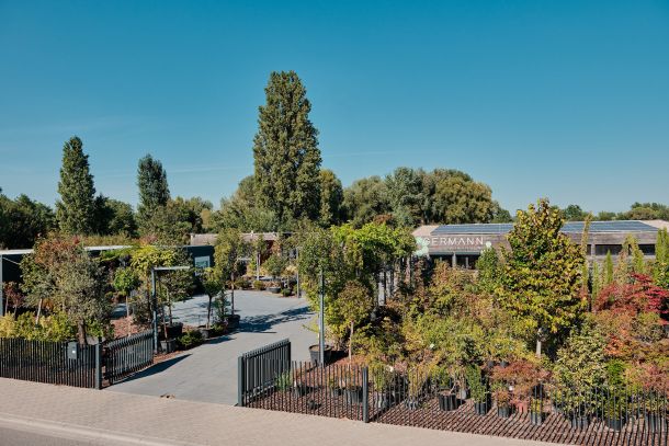 Firma Germann Gartengestaltung